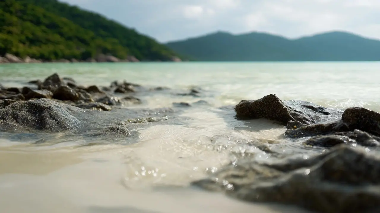 Где в Китае чистое море: Жёлтое море называют так не случайно