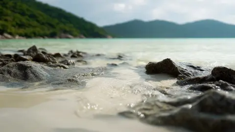 Где в Китае чистое море: Жёлтое море называют так не случайно